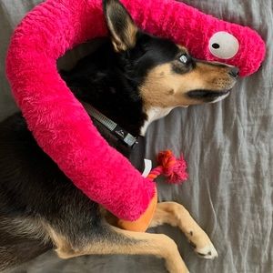 Meet your Posher, Sean